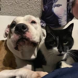 Meet your Posher, Jason